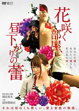 日韩电影院日本文艺片北纬四十三度海报